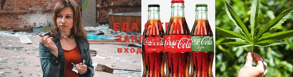 прущие грибы Балахна