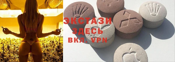 прущие грибы Балахна