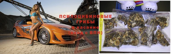 шишки Балабаново