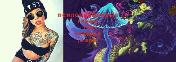 трава Беломорск