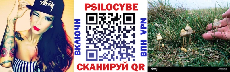 что такое   Лыткарино  Псилоцибиновые грибы мухоморы 